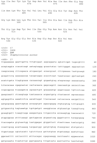 Стабильные иммуногенные композиции антигенов staphylococcus aureus (патент 2570730)