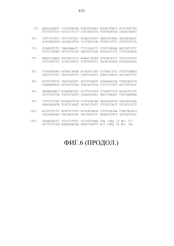 Комбинированное применение ловушек gdf и активаторов рецепторов эритропоэтина для повышения содержания эритроцитов (патент 2592670)