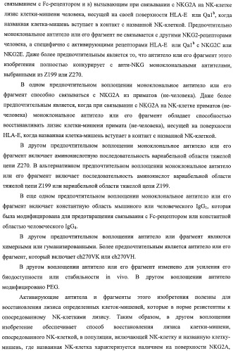 Моноклональные антитела против nkg2a (патент 2481356)