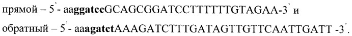 Рекомбинантная плазмида для экспрессии в дрожжах pichia pastoris гена фосфолипазы, штамм дрожжей pichia pastoris - продуцент фосфолипазы (патент 2409671)