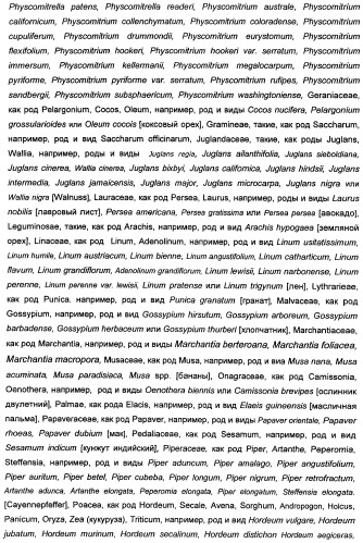 Способ получения полиненасыщенных кислот жирного ряда в трансгенных организмах (патент 2447147)