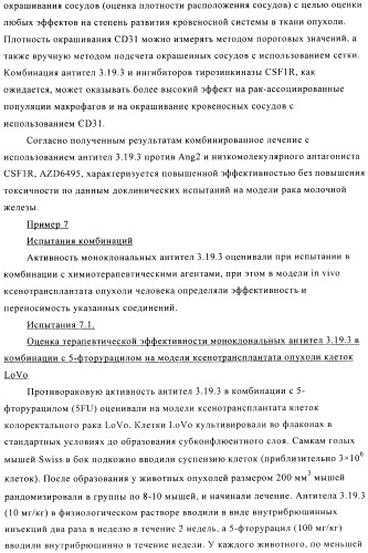 Стабилизированные антитела против ангиопоэтина-2 и их применение (патент 2509085)