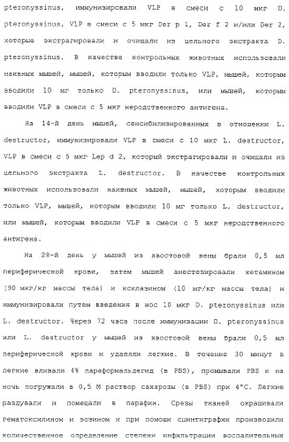 Композиции, содержащие cpg-олигонуклеотиды и вирусоподобные частицы, для применения в качестве адъювантов (патент 2322257)