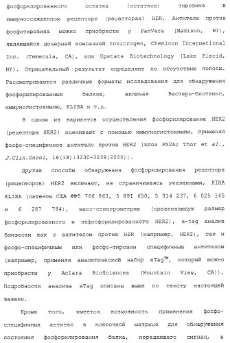 Продление времени до прогрессирования заболевания или продолжительности жизни у онкологических больных с применением ингибиторов димеризации her (патент 2404806)
