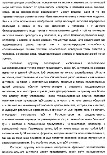 Антитела-нейтрализаторы гранулоцитарно-макрофагального колониестимулирующего фактора человека (патент 2458071)