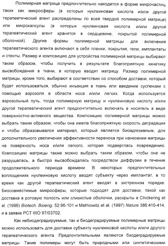 Мотивы последовательности рнк в контексте определенных межнуклеотидных связей, индуцирующие специфические иммуномодулирующие профили (патент 2435851)