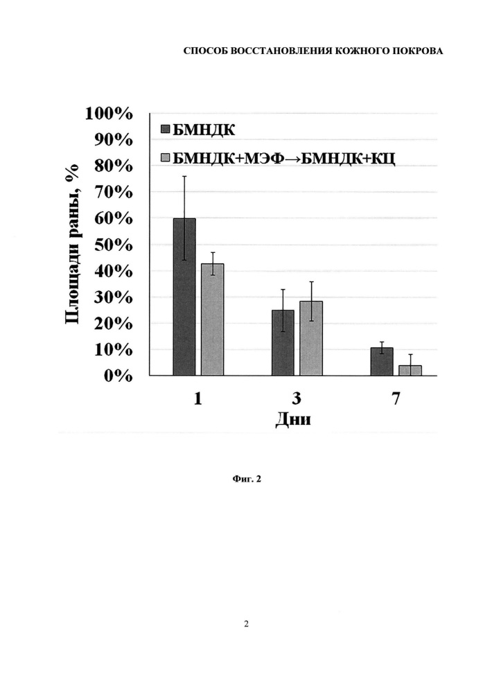 Способ восстановления кожного покрова (патент 2658707)