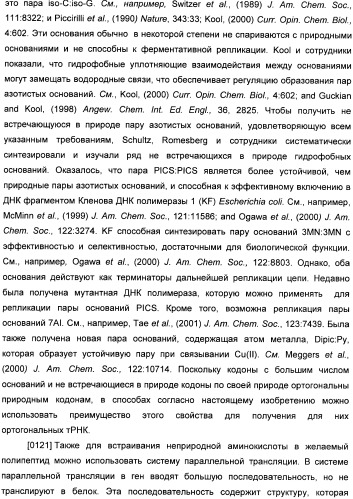 Генетически кодируемые флюоресцентные кумариновые аминокислоты (патент 2473690)