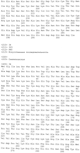 Гуманизированные fcγr мыши (патент 2549695)