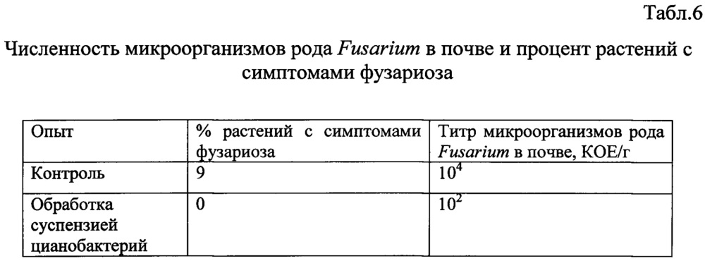 Способ стимуляции роста и развития растений, повышения урожайности и защиты от фитопатогенных грибов в аридной зоне (патент 2634387)