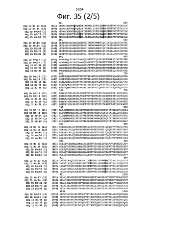 Способ получения рекомбинантного вирусного вектора apmv-8 (патент 2592544)