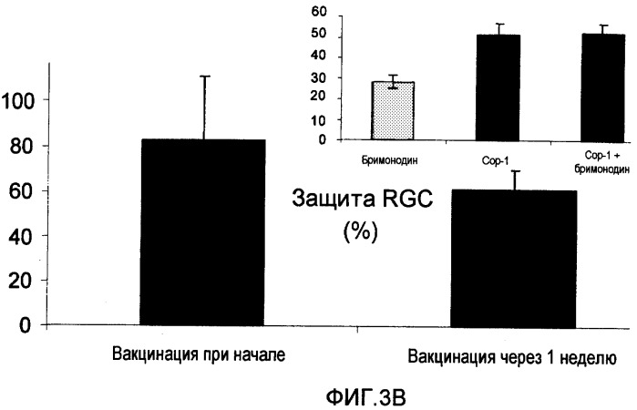 Вакцина и способ лечения болезней двигательных нейронов (патент 2303996)