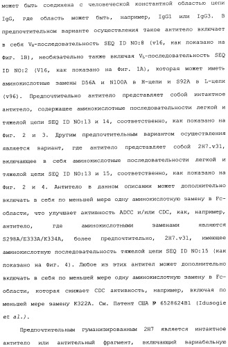 Способ лечения волчанки (патент 2396980)