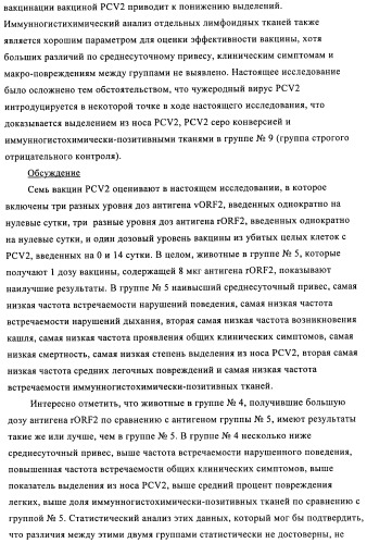 Поливалентные иммуногенные композиции pcv2 и способы получения таких композиций (патент 2488407)