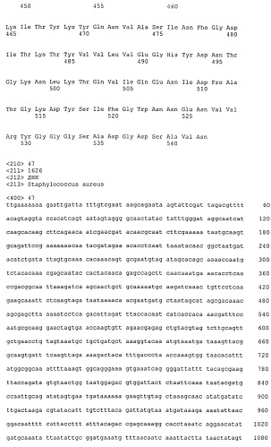 Иммуногенные композиции антигенов staphylococcus aureus (патент 2536981)