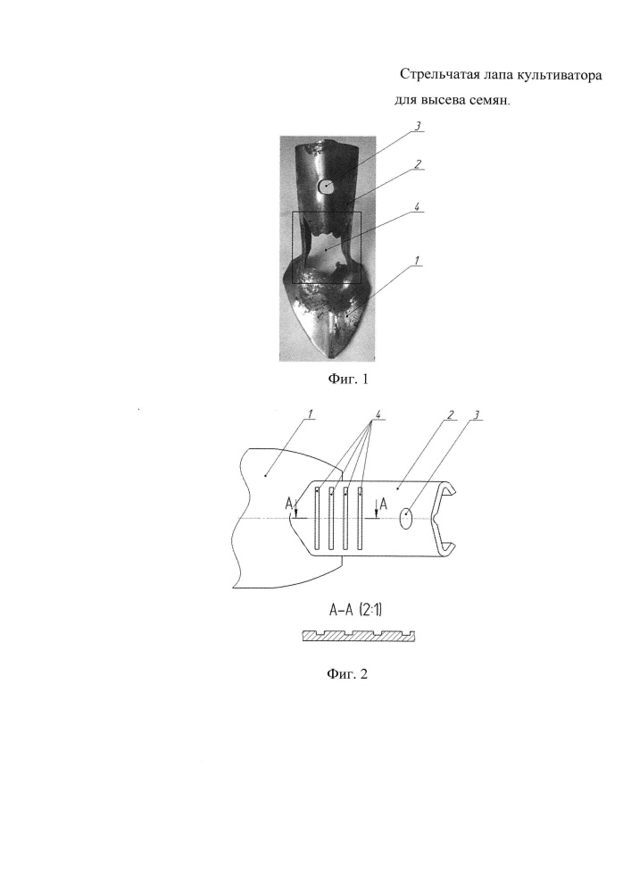 Стрельчатая лапа культиватора для высева семян (патент 2652839)