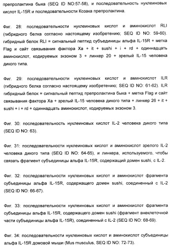 Соединение, предназначенное для стимуляции пути передачи сигнала через il-15rбета/гамма, с целью индуцировать и/или стимулировать активацию и/или пролиферацию il-15rбета/гамма-положительных клеток, таких как nk-и/или t-клетки, нуклеиновая кислота, кодирующая соединение, вектор экспрессии, клетка-хозяин, адъювант для иммунотерапевтической композиции, фармацевтическая композиция и лекарственное средство для лечения состояния или заболевания, при котором желательно повышение активности il-15, способ in vitro индукции и/или стимуляции пролиферации и/или активации il-15rбета/гамма-положительных клеток и способ получения in vitro активированных nk-и/или t-клеток (патент 2454463)