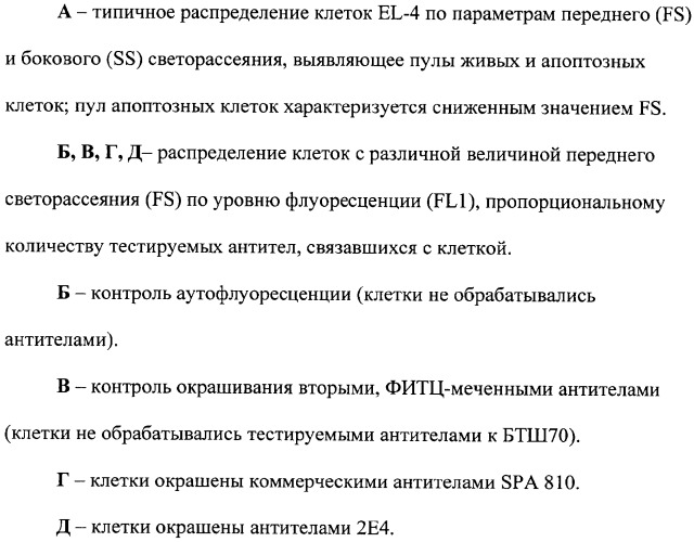 Штамм гибридных культивируемых клеток животных mus musculus 2e4 - продуцент моноклональных антител, специфичных к белку теплового шока 70 (патент 2381271)