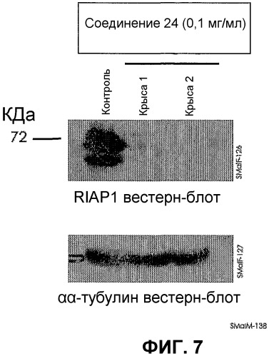 Соединения, связывающие домен bir белков iap (патент 2472780)