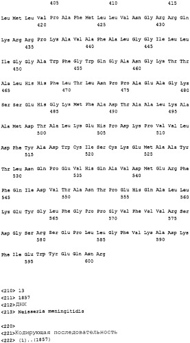 Пептид neisseria meningitidis для терапевтического и диагностического применения (патент 2313535)