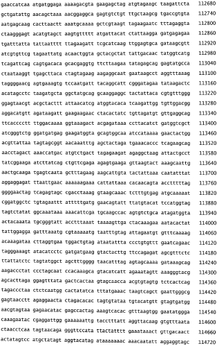 Бактериофаг, обладающий активностью против pseudomonas aeruginosa, белки бактериофага и способы их применения (патент 2580248)
