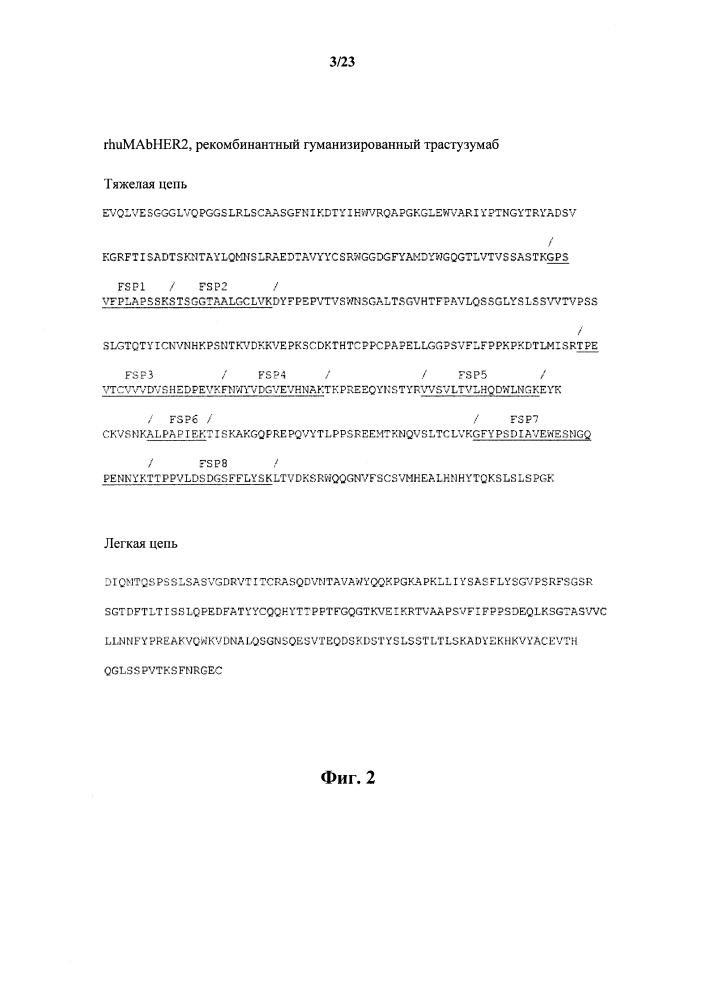 Lc-ms/ms способ мониторинга множественных реакций для выявления терапевтических антител в образцах животных с помощью каркасных сигнатурных пептидов (патент 2638806)