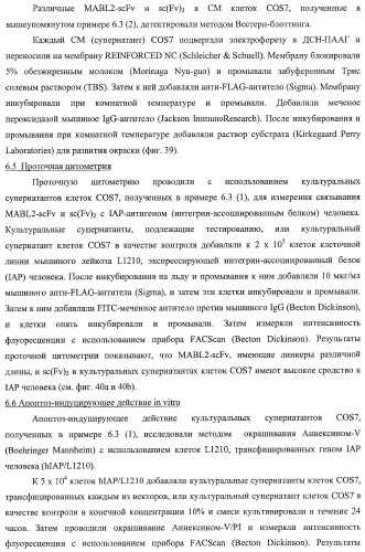 Агонистическое соединение, способное специфически узнавать и поперечно сшивать молекулу клеточной поверхности или внутриклеточную молекулу (патент 2430927)