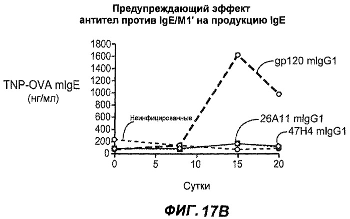 Апоптотические антитела против ige (патент 2500686)