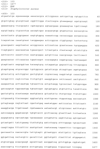 Стабильные иммуногенные композиции антигенов staphylococcus aureus (патент 2570730)