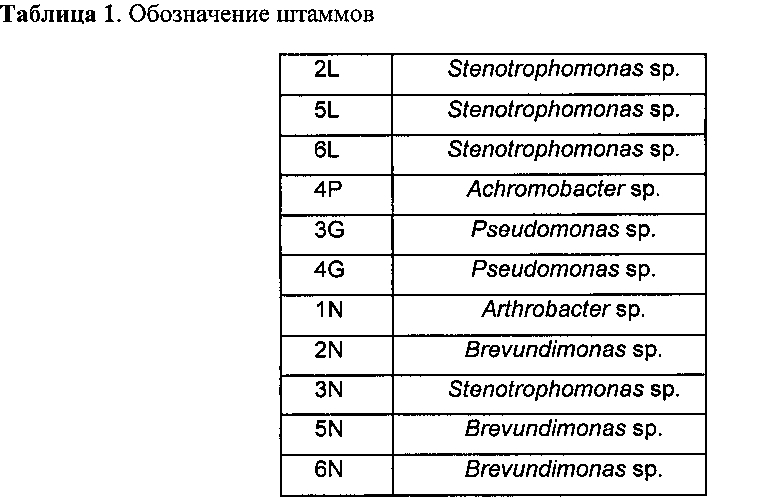 Композиция бактериальных штаммов, смесь для биоремедиации и применение указанной композиции для удаления из почвы загрязняющих веществ, а также способ очистки почвы от загрязняющих веществ (патент 2601155)