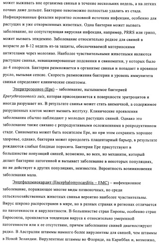 Поливалентные иммуногенные композиции pcv2 и способы получения таких композиций (патент 2488407)