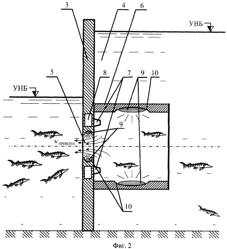Рыбоход для привлечения и пропуска рыбы из нижнего бьефа гидроузла в верхний бьеф (патент 2337209)