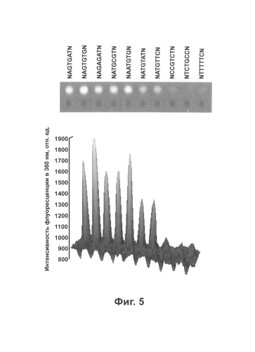 Способ и устройство для анализа взаимодействий биологических молекул на биологическом микрочипе на основе флуоресценции аминокислотных остатков триптофана (патент 2588816)
