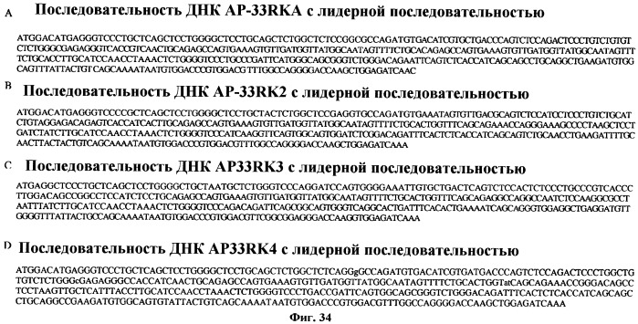 Антитела против вируса гепатита с (патент 2462475)