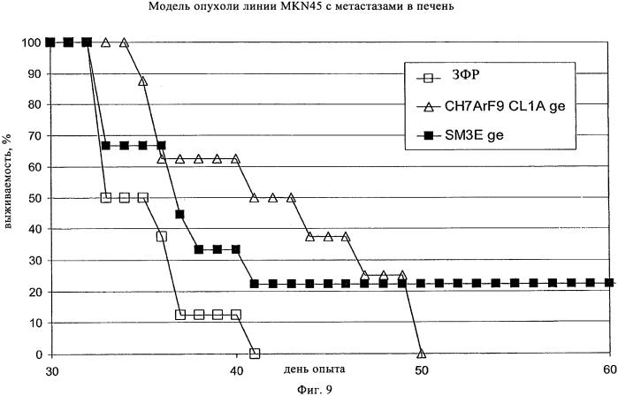 Гуманизированные моноклональные антитела к сеа с созревшей аффинностью (патент 2570554)