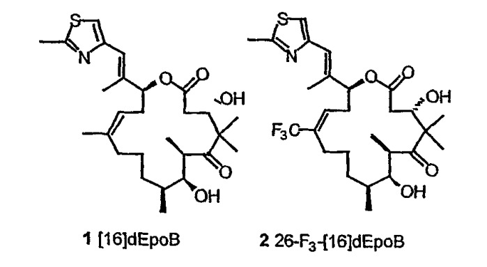 Синтез эпотилонов, их промежуточных продуктов, аналогов и их применения (патент 2462463)