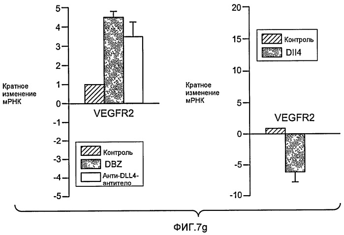 Антитела против dll4 и способы их применения (патент 2415869)