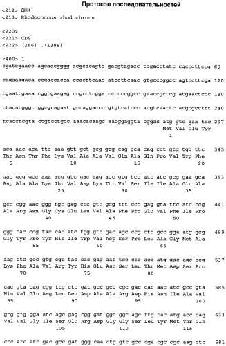 Нитрилаза из rhodococcus rhodochrous ncimb 11216 (патент 2283864)