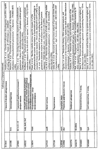 Гены corynebacterium glutamicum, кодирующие белки, участвующие в синтезе мембран и мембранном транспорте (патент 2312145)