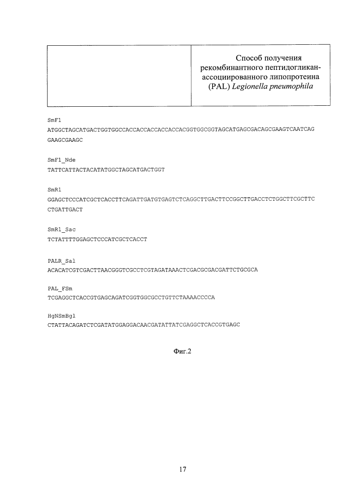 Способ получения рекомбинантного пептидогликан-ассоциированного липопротеина (pal) legionella pneumophila (патент 2634385)