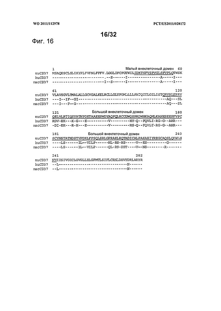 Cd37-связывающие молекулы cd37 и иммуноконъюгаты (патент 2610662)