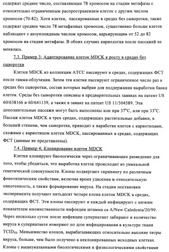 Способы и композиции для экспрессии антисмысловой вирусной рнк в клетках собаки (патент 2457250)