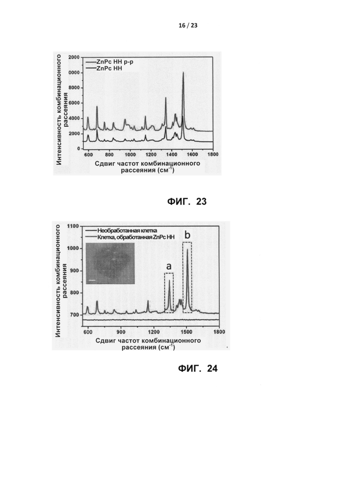 Нанонити альфа-формы фталоцианина цинка, обладающие повышенными растворимостью в воде и диспергируемостью в воде, композит альфа-формы нанонитей фталоцианина цинка/фенотиазина и способ их получения (патент 2602698)