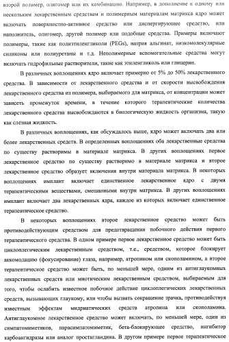 Лекарственные ядра для замедленного высвобождения терапевтических средств (патент 2478366)
