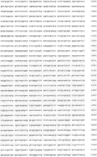 Плазмидный вектор pe-lc-ltp, штамм бактерии escherichia coli для экспрессии липид-транспортирующих белков чечевицы lens culinaris и способ получения указанных белков (патент 2415940)