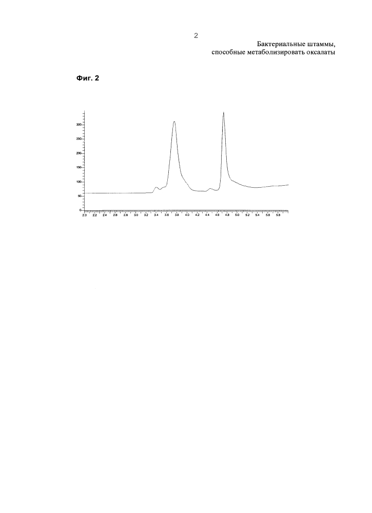 Бактериальный штамм, способный метаболизировать оксалаты (патент 2624033)