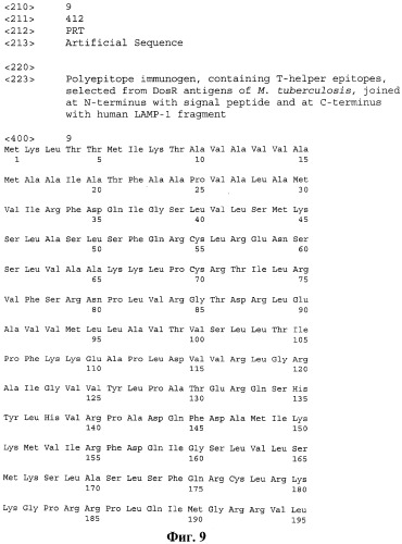 Профилактическая или терапевтическая полиэпитопная противотуберкулезная вакцинная конструкция, обеспечивающая индукцию клеточного иммунного ответа cd4+ или cd8+ т-лимфоцитов (патент 2539035)