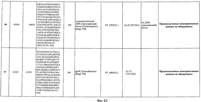 Бактериофаг, обладающий активностью против pseudomonas aeruginosa, белки бактериофага и способы их применения (патент 2580248)