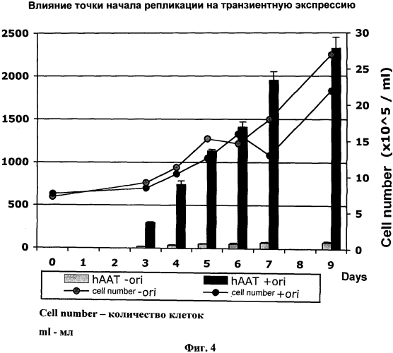 Новая постоянная линия клеток человека (патент 2569181)