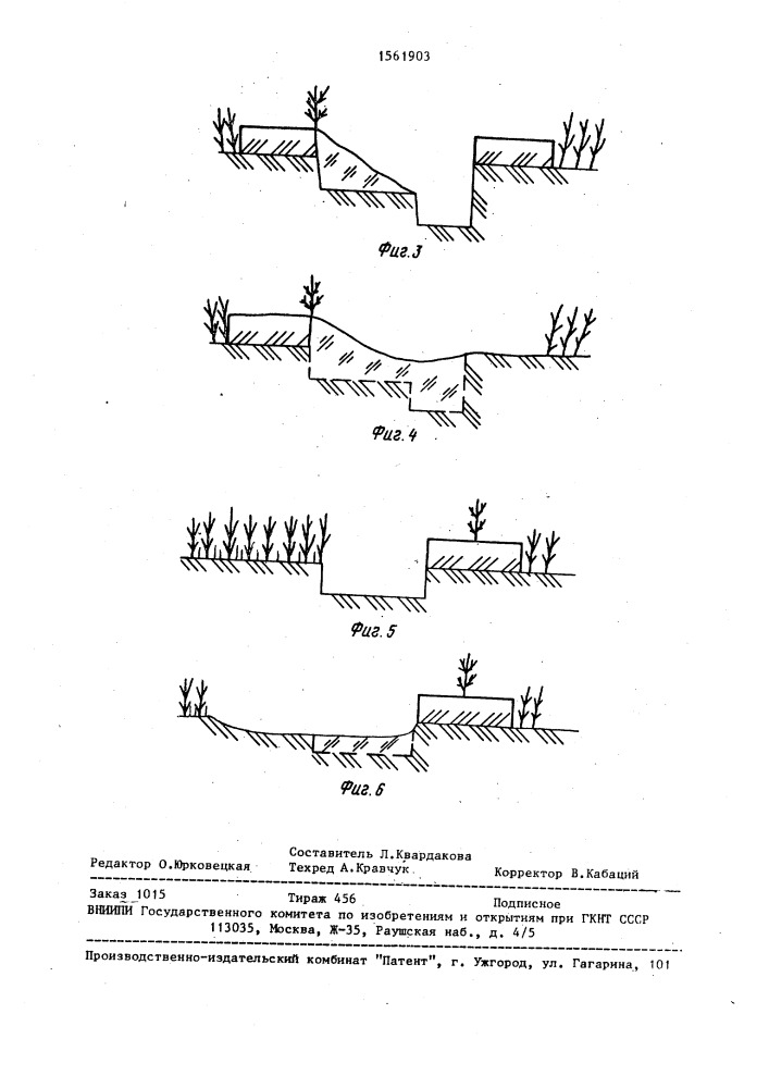 Способ создания рядовых лесных культур (патент 1561903)